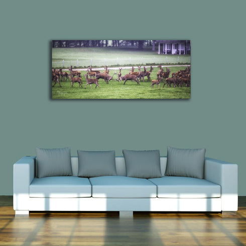 PANORAMIC - BATTLE FOR THE LADIES - 1.2m x 50cm